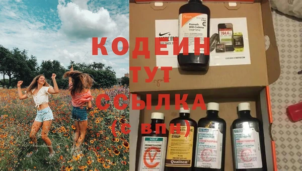 гашик Балахна