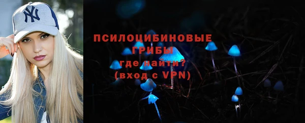гашик Балахна