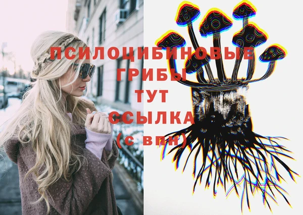 мдма Белокуриха