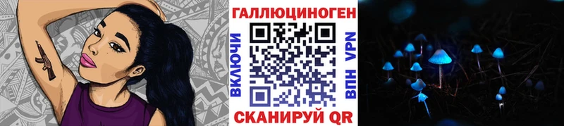 Псилоцибиновые грибы Psilocybe  закладка  Бородино 